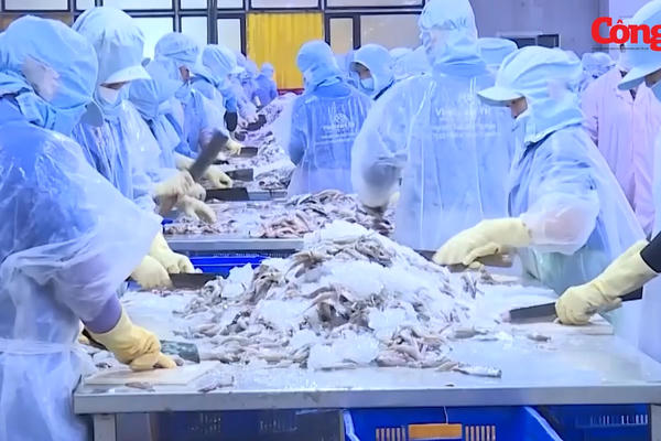 Xuất khẩu cá rô phi tăng mạnh trong 2 tháng đầu năm