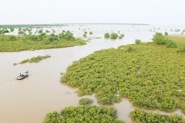 Vườn Quốc gia Xuân Thủy chính thức đón nhận danh hiệu Vườn di sản ASEAN