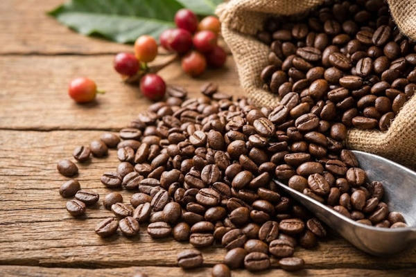 Giá cà phê trong nước và quốc tế đồng loạt giảm