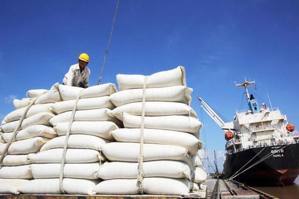 Thị trường gạo biến động, áp lực vì chi phí vận tải