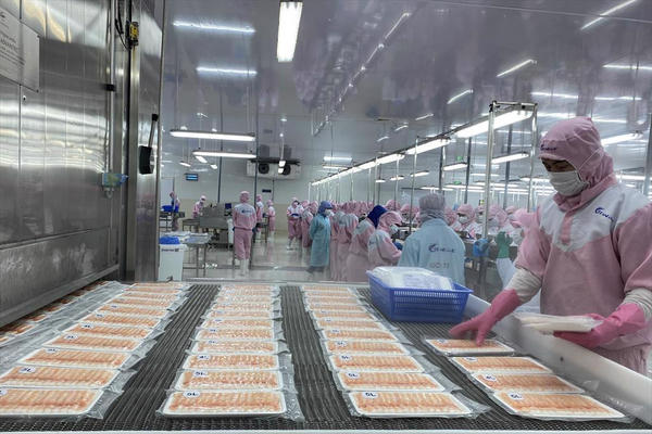 Hướng dẫn mới về đăng ký doanh nghiệp thực phẩm xuất khẩu sang Trung Quốc