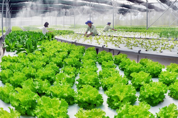 Chính phủ ban hành Chương trình hành động về nông nghiệp, nông dân, nông thôn đến năm 2030