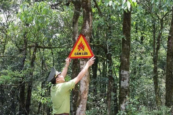 Cấm tuyệt đối các nguồn lửa trong khu vực rừng