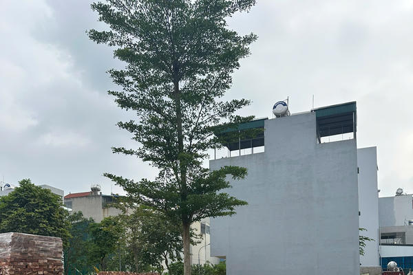 Mỗi thửa đất chỉ được cấp một mã định danh duy nhất 