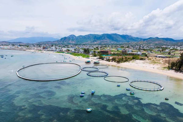 Quảng Ninh: Ứng dụng công nghệ cao vào mô hình nuôi trồng thủy sản