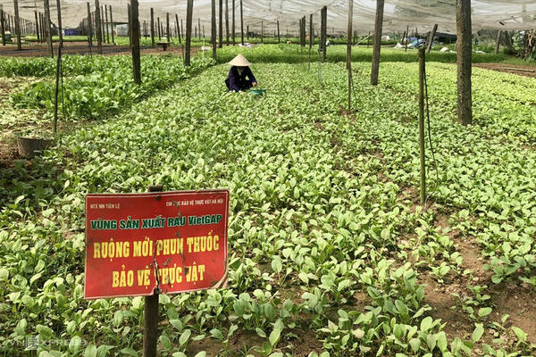 Gỡ “điểm nghẽn” xử lý bao bì thuốc bảo vệ thực vật