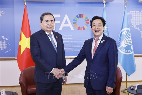 Việt Nam – FAO thúc đẩy hợp tác bảo đảm an ninh lương thực trong bối cảnh mới