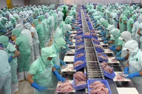 TP. HCM: Ngành chế biến, chế tạo khẳng định vai trò "đầu tàu"