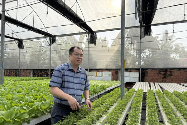 Nông nghiệp xanh: Chìa khóa nâng tầm thương hiệu và giá trị nông sản Việt