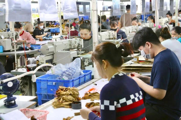 Đà Nẵng đăng cai Diễn đàn Đối thoại Doanh nghiệp quy mô lớn