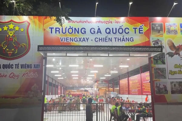 Triệt phá “trường gà quốc tế Viêng Xay”, khởi tố 196 bị can