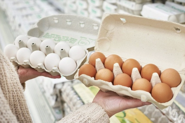 Người dân chịu sức ép khi giá trứng gà giảm sâu 