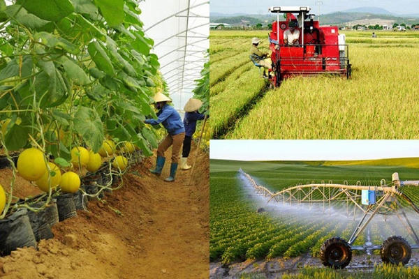 Điều kiện nào để xã được công nhận đạt chuẩn nông thôn mới, nông thôn mới hiện đại?