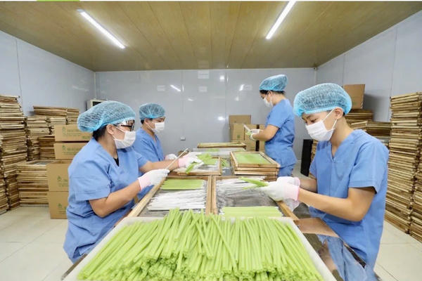 Thêm 9 sản phẩm của Hà Nội được công nhận OCOP 5 sao quốc gia