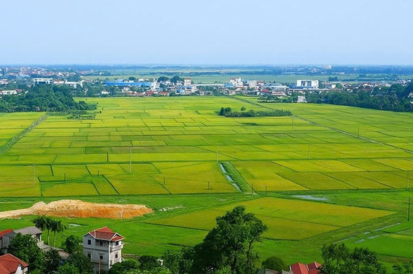 Đề xuất sửa Luật Đất đai để thúc đẩy tăng trưởng kinh tế