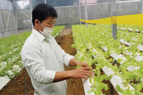 Dự án trong khu nông nghiệp ứng dụng công nghệ cao được hưởng ưu đãi gì?