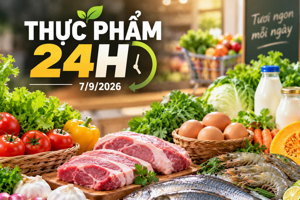 Thực phẩm 24h ngày 7/9: Rau xanh giảm 24%, tôm thẻ còn 169.000 đồng/kg