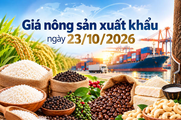 Nông sản xuất khẩu 23/10: Gạo giữ giá, Robusta giảm 58 USD/tấn