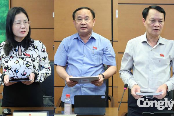 Đại biểu Quốc hội góp ý hoàn thiện dự án Luật Sở hữu trí tuệ