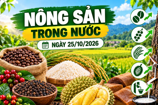 Nông sản trong nước ngày 25/10: Cà phê dưới 90.000 đồng/kg, sầu riêng giảm tại Đắk Lắk