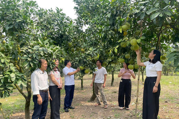 Lào Cai: Minh bạch nguồn gốc, mở rộng thị trường tiêu thụ nông sản