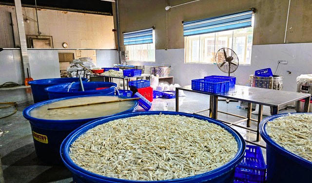 Lực lượng chức năng thu giữ tổng cộng hơn 13 tấn chân gà.