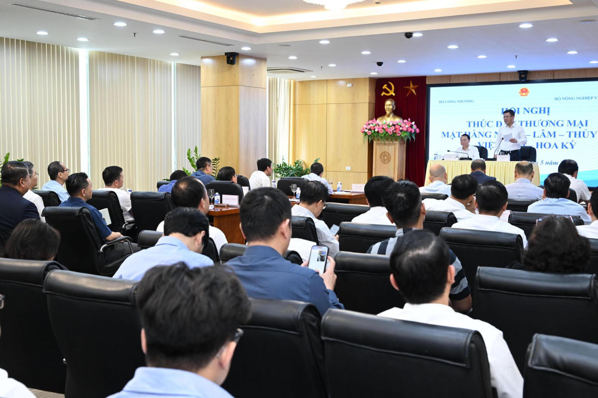 Đại biểu tham dự Hội nghị.