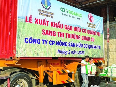 Chuyện o Lệ xuất gạo sang trời Âu