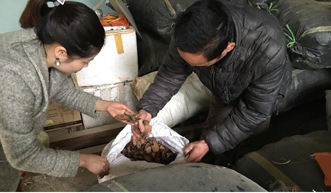 2,5 triệu hộ nông dân sẽ tham gia thương mại điện tử