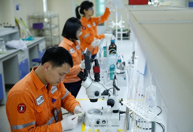Chuyển đổi xanh: Lộ trình không thể đảo ngược của doanh nghiệp trong cuộc chơi toàn cầu
