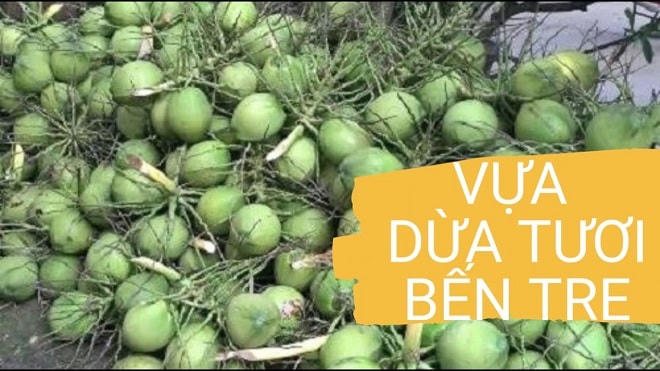 Bến Tre hỗ trợ doanh nghiệp xây dựng website thương mại điện tử