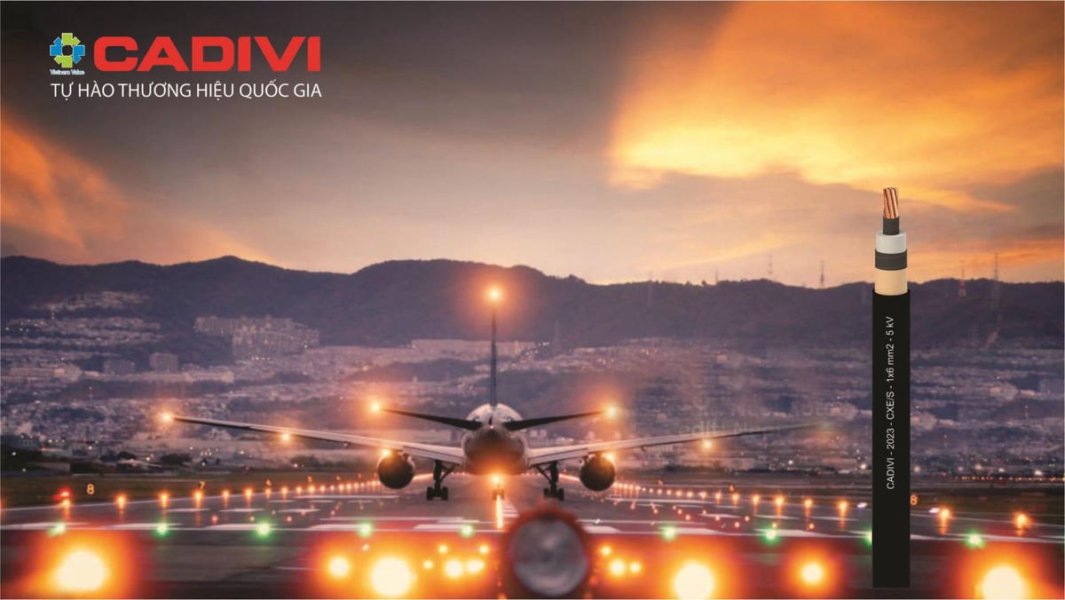 GELEX, Viglacera, CADIVI vào Top 25 thương hiệu dẫn đầu của Forbes Việt Nam