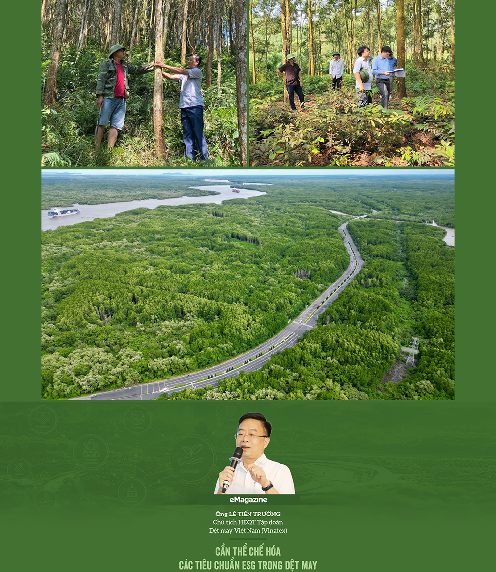 Kiên định mục tiêu phát triển xanh, tuần hoàn theo các tiêu chuẩn ESG