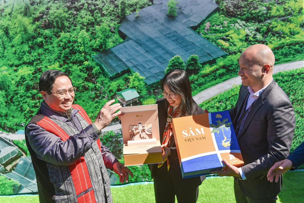 Thủ tướng Phạm Minh Chính thăm mô hình trồng sâm Lai Châu của Dược phẩm Thái Minh