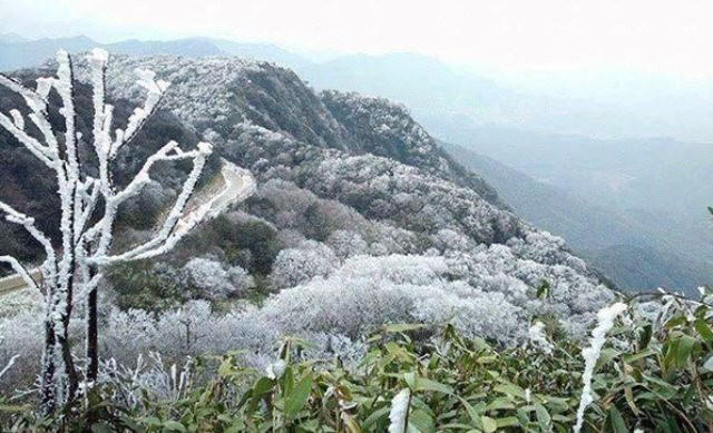 TIN GIÓ MÙA ĐÔNG BẮC VÀ RÉT