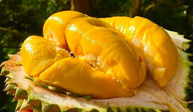 Nông dân lãi lớn nhờ giá nông sản tăng kỷ lục