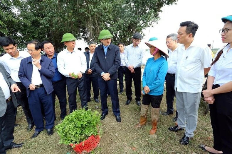Ninh Bình rộn ràng ra quân sản xuất những ngày đầu năm mới
