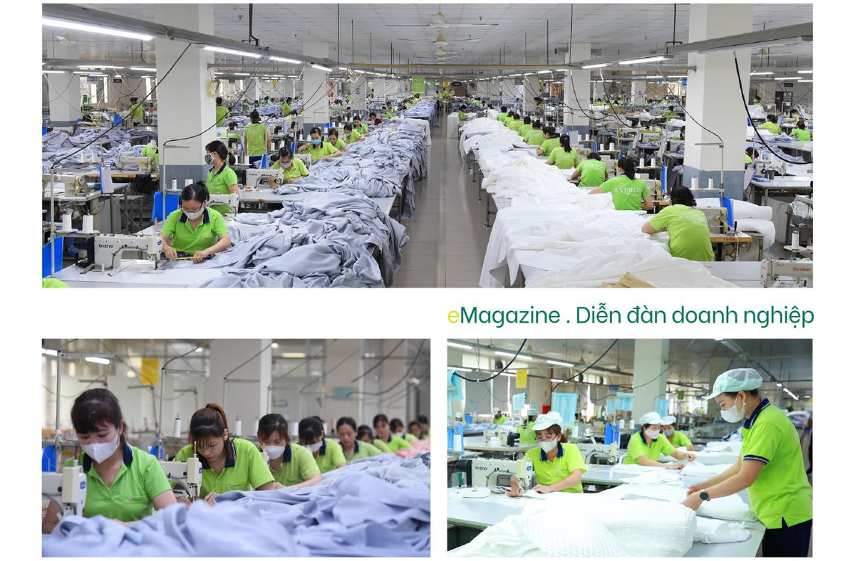 Chặng đường phát triển bền vững của everpia