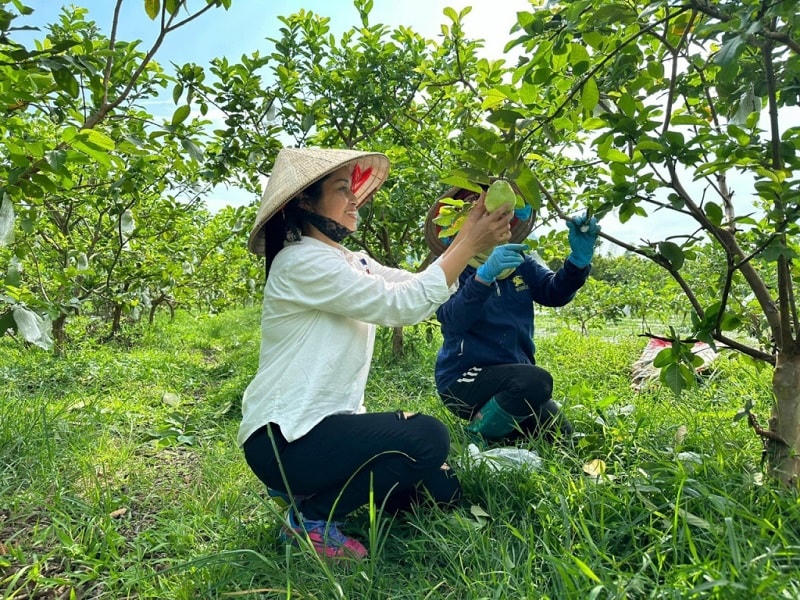 Nữ doanh nhân tuổi thìn nặng lòng với nông sản sạch