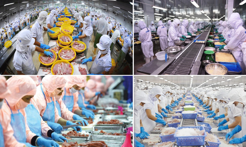 Xuất khẩu thuỷ sản Việt Nam có nhiều dấu hiệu tích cực trong những tháng đầu năm