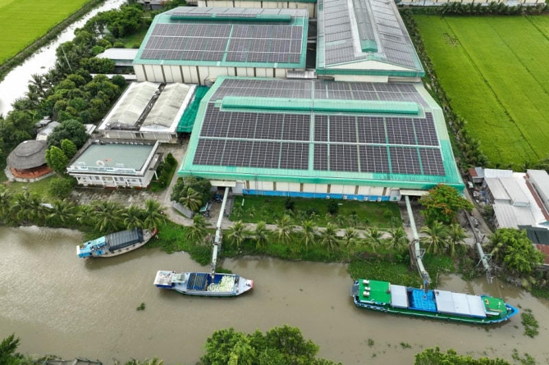 Áp dụng triết lý Kaizen của Toyota, một doanh nghiệp lúa gạo Việt thu hàng chục nghìn tỷ đồng mỗi năm