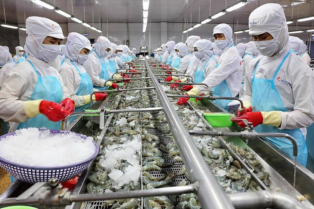 Dự báo xuất khẩu thủy sản nửa cuối năm đạt trên 5,5 tỷ USD