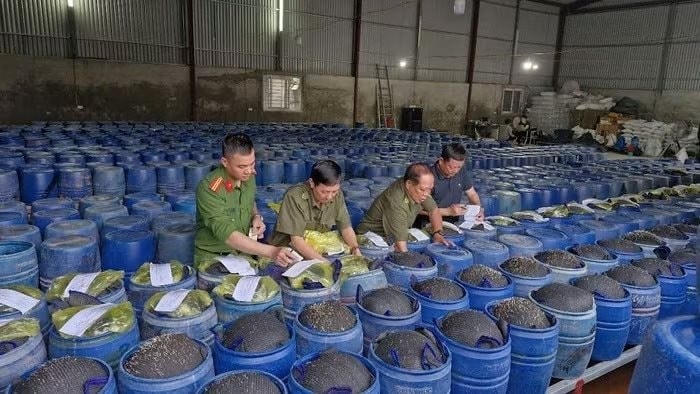 hangban.jpg