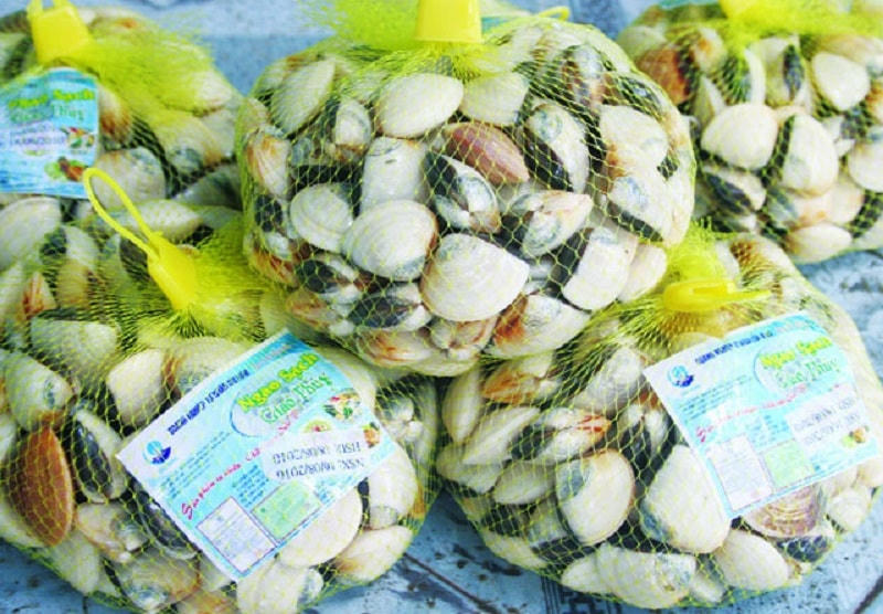 Nam Định: Thu hút doanh nghiệp đầu tư ngao