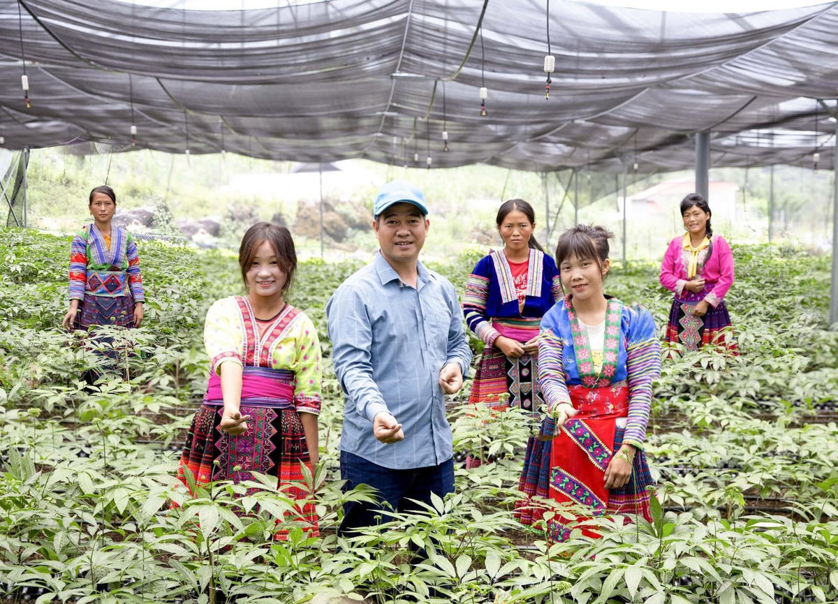 Thủ tướng Phạm Minh Chính thăm mô hình trồng sâm Lai Châu của Dược phẩm Thái Minh