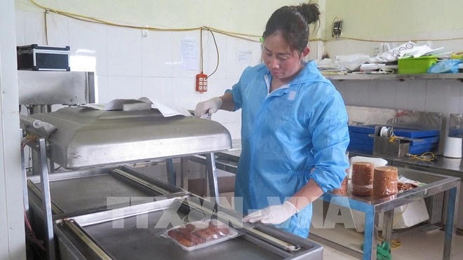 Gắn tem truy xuất nguồn gốc cho cá nước lạnh Lào Cai