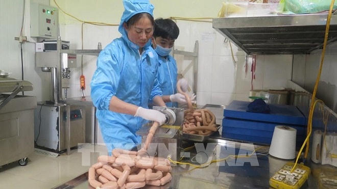 Gắn tem truy xuất nguồn gốc cho cá nước lạnh Lào Cai