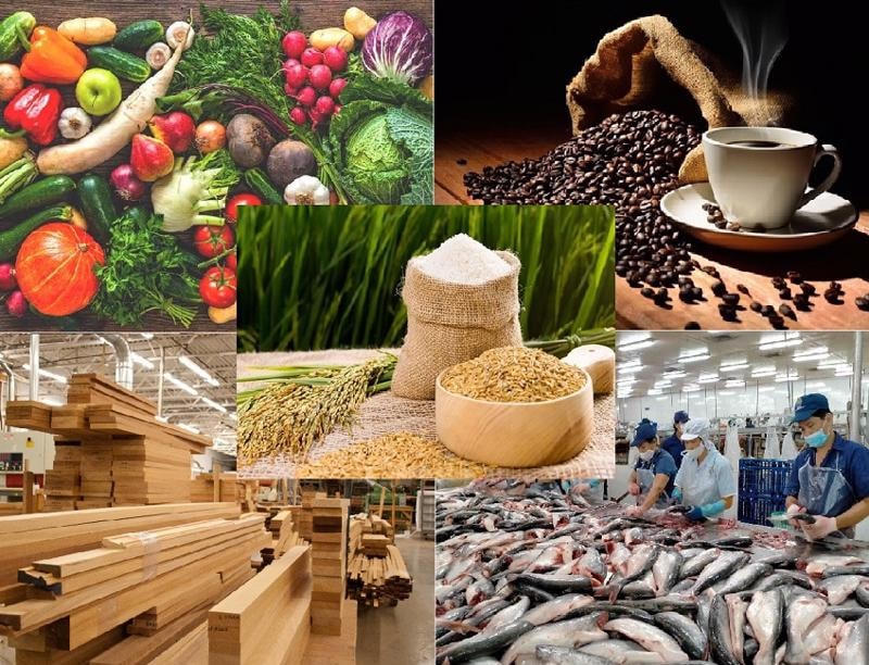 Những con số kỷ lục về xuất khẩu của nhóm ngành nông lâm thủy sản trong đầu năm 2024