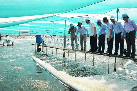 Đổi mới, ứng dụng khoa học công nghệ giúp thủy sản tăng trưởng ổn định trong khoảng 5%