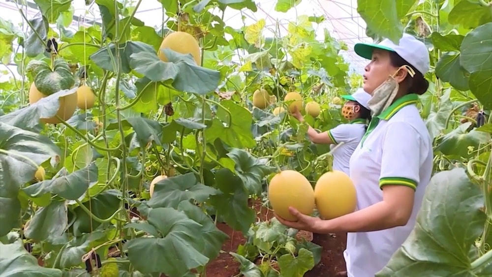 Rào cản nào với hàng Việt khi vào siêu thị